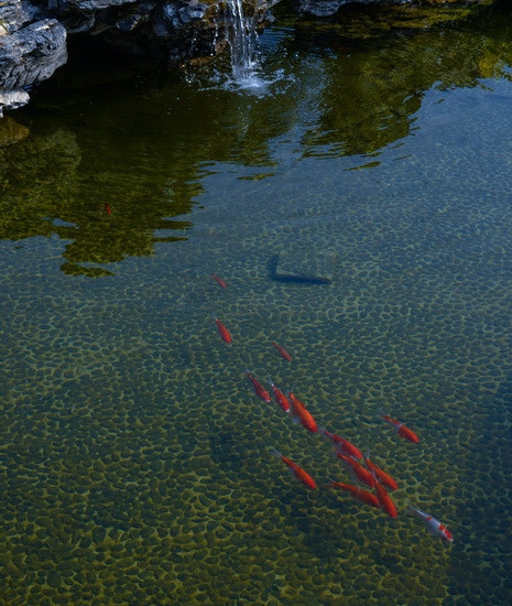 空中花園 (11)_副本.jpg